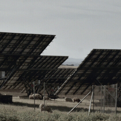 Guadiana in Four Movements