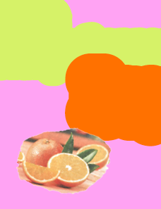 Lesní lázně, válečné vyšívání a zamlčená pandemie. Inspirační Fórum poodhaluje další část nabitého programu