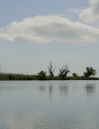 Showcase IF Lab na bratislavském festivalu Sensorium