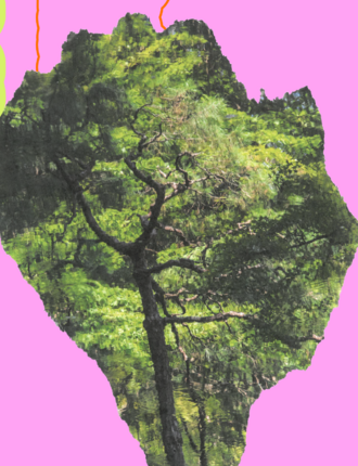 Soutěžte s Inspiračním fórem: Navrhněte plakát a vyhrajte akreditaci na MFDF Ji.hlava